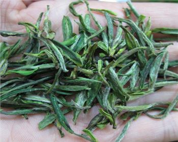 茶葉烘干淺析--空氣能熱泵食品烘干技術(shù)助力傳統(tǒng)制茶工藝